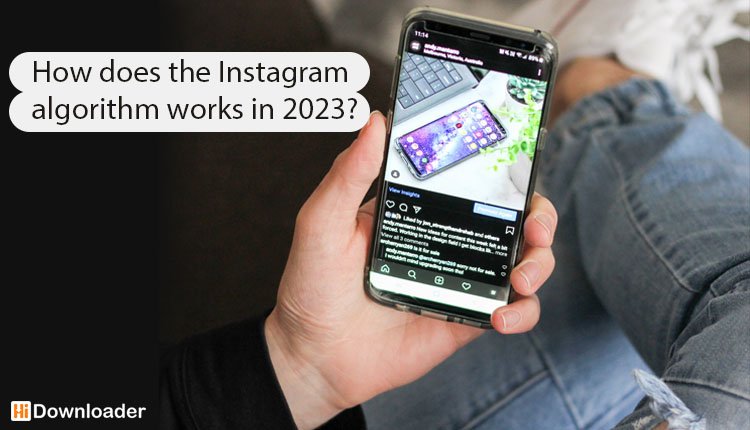 How does the Instagram algorithm works in 2023?